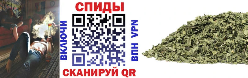 Купить где  Циолковский  Бутират 99% 
