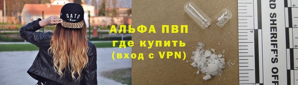 стаф Гусев