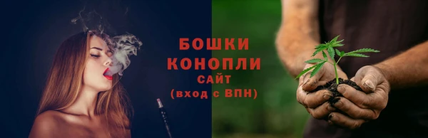 хмурый Гусь-Хрустальный