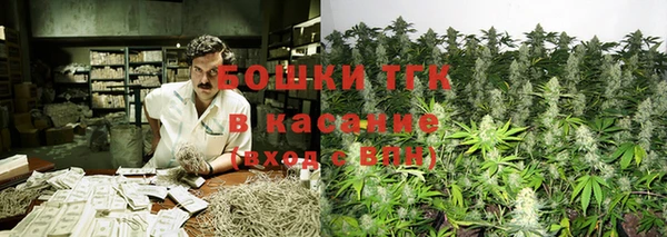 хмурый Гусь-Хрустальный
