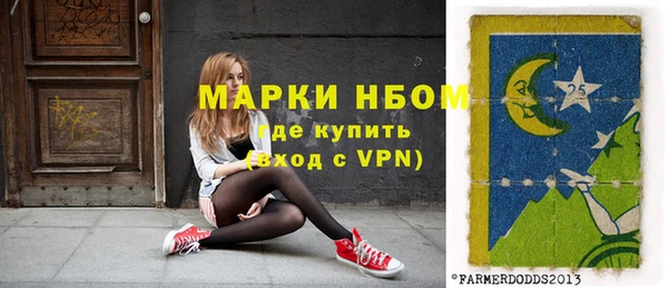 стаф Гусев