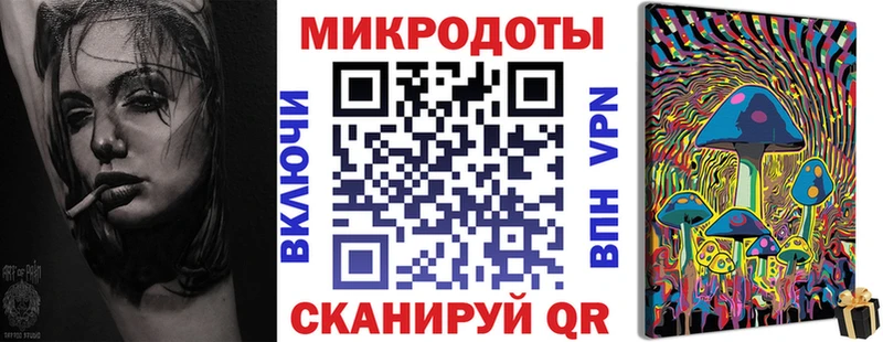 Купить закладки  Циолковский  Галлюциногенные грибы MAGIC MUSHROOMS 